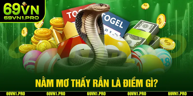 Mơ thấy rắn cũng mang một số ý nghĩa tâm linh
