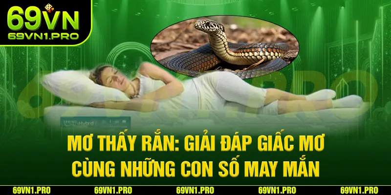 Mơ Thấy Rắn: Giải Đáp Giấc Mơ Cùng Những Con Số May Mắn