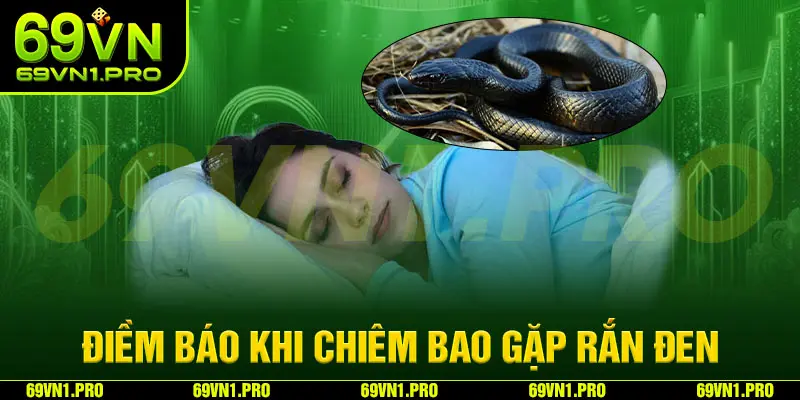 Mơ thấy rắn đen mang đến điềm báo tích cực