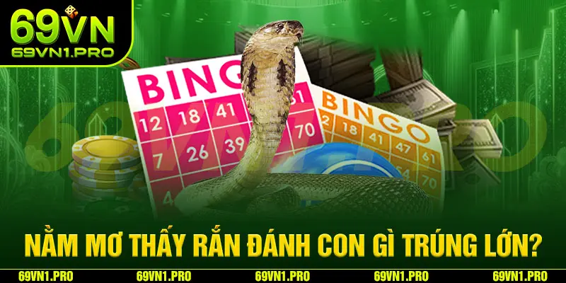 Mơ thấy rắn cắn đánh con gì trúng lớn