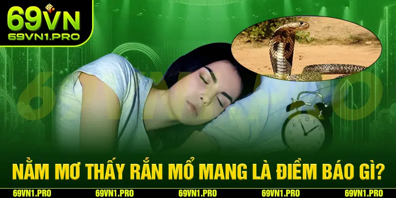 Mơ thấy rắn hổ mang có ý nghĩa tâm lý học